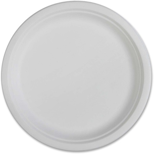 PLATE,COMPOSTABLE,10"