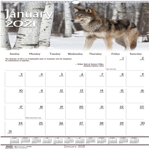 CALENDAR,WALL,WILDLIFE