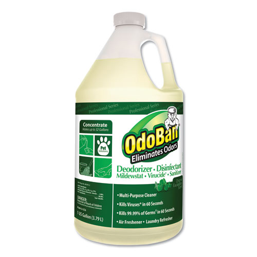 CONCENTRATED ODOR ELIMINATOR AND DISINFECTANT, EUCALYPTUS, 1 GAL BOTTLE