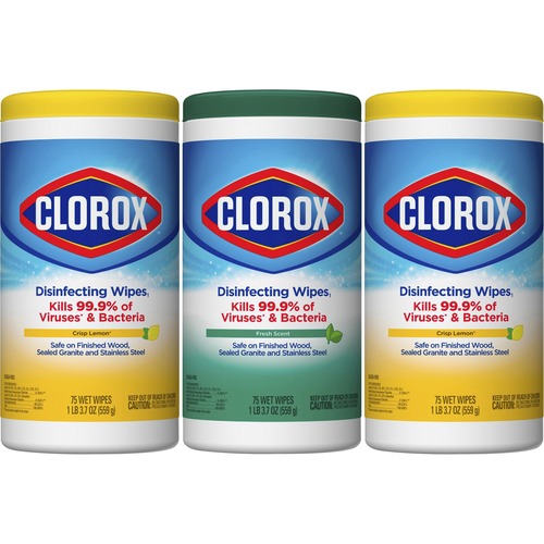 Clorox Company  Disinfecting Wipes, Bleach-free, 75/Canister, 12/CT, White