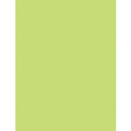PAPER,MLTI-PURPOSE,LM,500SH